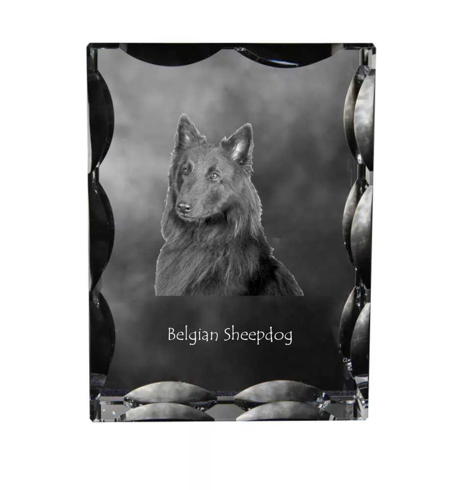 Tervueren Belgian Shepherd Dog, Tervueren Belgian Sheepdog - crystal with a picture of a dog, glass statuette with a picture, unique frame with a picture from Art-Dog brand