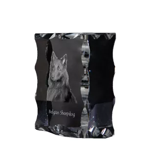 Tervueren chien de berger belge - cristal avec photo de chien, statuette en verre avec photo, cadre exceptionnel avec photo de la marque Art-Dog