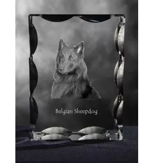 Tervueren chien de berger belge - cristal avec photo de chien, statuette en verre avec photo, cadre exceptionnel avec photo de la marque Art-Dog