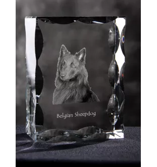Tervueren Belgian Shepherd Dog, Tervueren Belgian Sheepdog - crystal with a picture of a dog, glass statuette with a picture, unique frame with a picture from Art-Dog brand