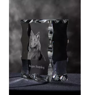 Tervueren Belgischer Schäferhund - Kristall mit einem Hundebild, Glasstatuette mit einem Bild, einzigartiger Bilderrahmen der Marke Art-Dog