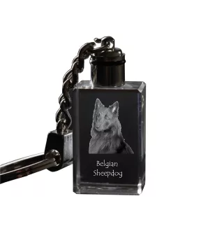 Tervueren chien de berger belge - Porte-clés en cristal avec photo de chien, porte-clés lumineux, cadeau unique de la marque Art-Dog
