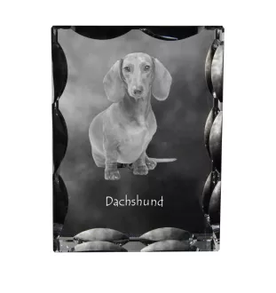 Jamnik szorstkowłosy ramka kryształowa z psem Art-Dog