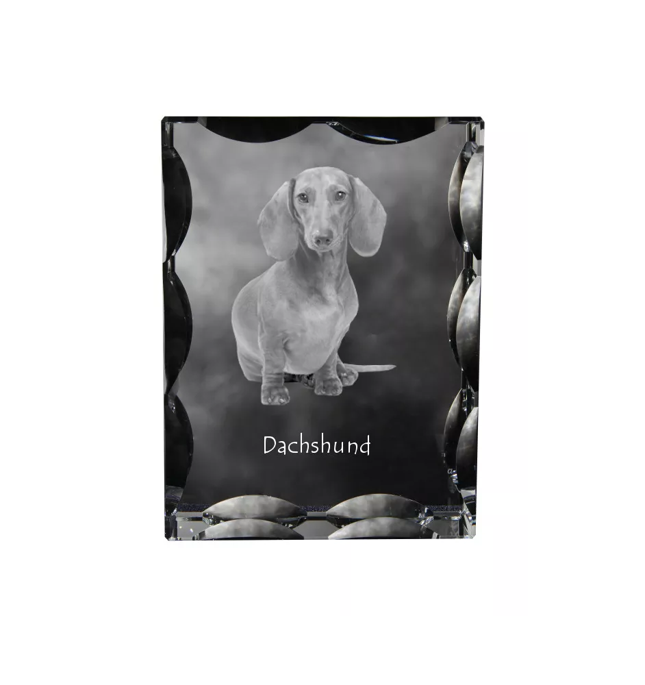 Teckel à poil dur, Chien-saucisse - cristal avec photo de chien, statuette en verre avec photo, cadre exceptionnel avec photo de la marque Art-Dog