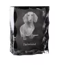 Dachshund Wire-haired, Wiener dog, Badger dog - crystal with a picture of a dog, glass statuette with a picture, unique frame with a picture from Art-Dog brand