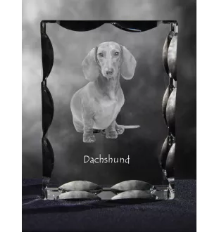 Dachshund Rauhhaar, Dackel, Teckel - Kristall mit einem Hundebild, Glasstatuette mit einem Bild, einzigartiger Bilderrahmen der Marke Art-Dog