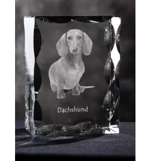 Jamnik szorstkowłosy ramka kryształowa z psem Art-Dog