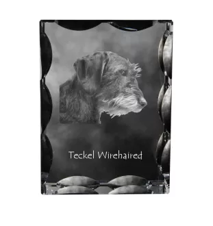 Dachshund Rauhhaar, Dackel, Teckel I - Kristall mit einem Hundebild, Glasstatuette mit einem Bild, einzigartiger Bilderrahmen der Marke Art-Dog