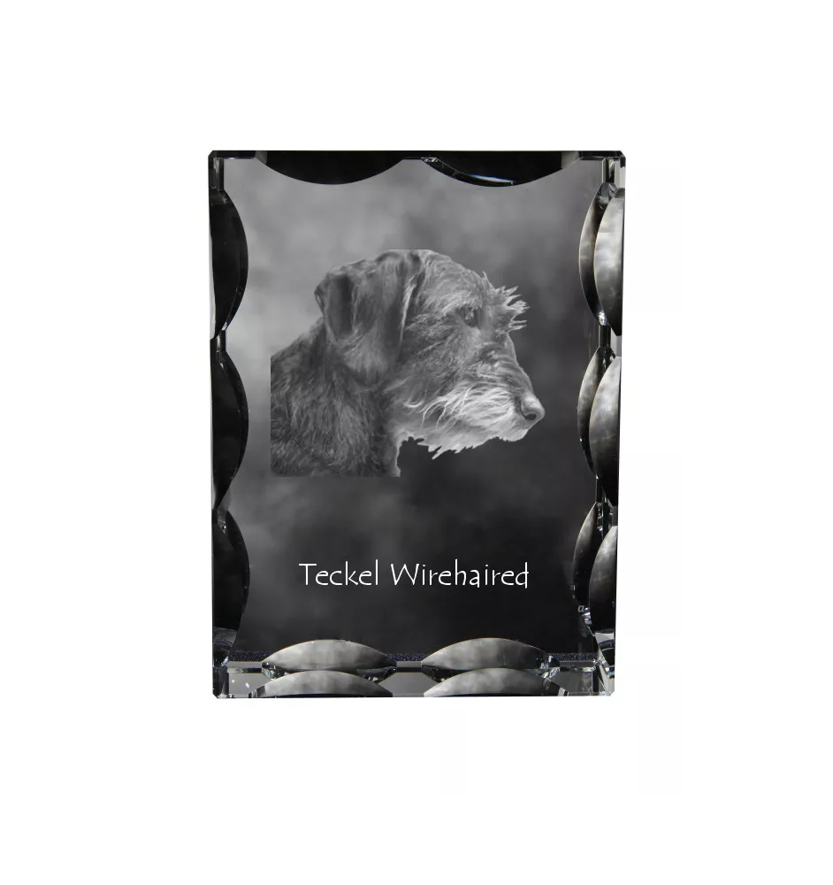 Dachshund Rauhhaar, Dackel, Teckel I - Kristall mit einem Hundebild, Glasstatuette mit einem Bild, einzigartiger Bilderrahmen der Marke Art-Dog