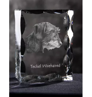 Dachshund Rauhhaar, Dackel, Teckel I - Kristall mit einem Hundebild, Glasstatuette mit einem Bild, einzigartiger Bilderrahmen der Marke Art-Dog