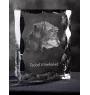Dachshund Wire-haired, Wiener dog, Badger dog I - crystal with a picture of a dog, glass statuette with a picture, unique frame with a picture from Art-Dog brand