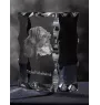 Dachshund Wire-haired, Wiener dog, Badger dog I - crystal with a picture of a dog, glass statuette with a picture, unique frame with a picture from Art-Dog brand