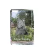 Tervueren Belgian Shepherd Dog, Tervueren Belgian Sheepdog - crystal with a picture of a dog, photo in glass, modern exhibition of Art-Dog brand photo