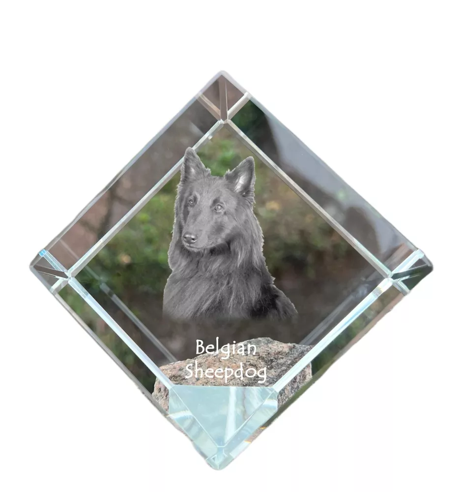 Tervueren Belgian Shepherd Dog, Tervueren Belgian Sheepdog - crystal cube with a photo, photo of a horse in crystal, cubic paperweight from Art-Dog brand