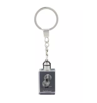 Teckel à poil dur, Chien-saucisse - Porte-clés en cristal avec photo de chien, porte-clés lumineux, cadeau unique de la marque Art-Dog