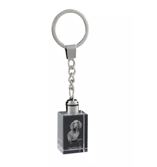 Teckel à poil dur, Chien-saucisse - Porte-clés en cristal avec photo de chien, porte-clés lumineux, cadeau unique de la marque Art-Dog