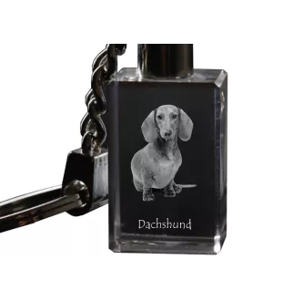 Teckel à poil dur, Chien-saucisse - Porte-clés en cristal avec photo de chien, porte-clés lumineux, cadeau unique de la marque Art-Dog