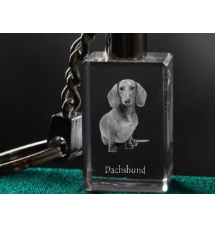 Teckel à poil dur, Chien-saucisse - Porte-clés en cristal avec photo de chien, porte-clés lumineux, cadeau unique de la marque Art-Dog