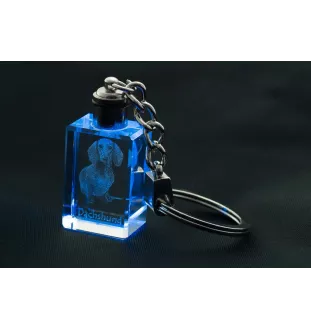 Dachshund Rauhhaar, Dackel, Teckel - Schlüsselanhänger aus Kristall mit Hundefoto, beleuchteter Schlüsselanhänger, einzigartiges Geschenk der Marke Art-Dog