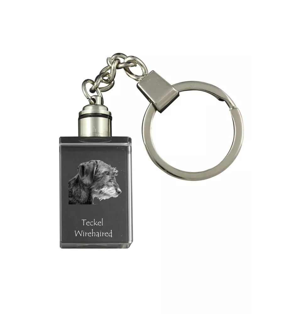 Teckel à poil dur, Chien-saucisse I - Porte-clés en cristal avec photo de chien, porte-clés lumineux, cadeau unique de la marque Art-Dog