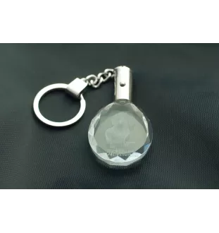 Dachshund Wire-haired, Wiener dog, Badger dog - pendant with a photo of a dog, crystal key ring in a gift box, a unique gift by Art-Dog