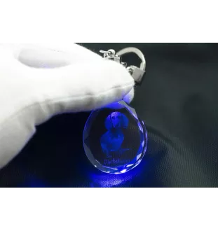 Dachshund Rauhhaar, Dackel, Teckel - Anhänger mit einem Foto eines Hundes, Schlüsselanhänger aus Kristall in einer Geschenkbox, ein einzigartiges Geschenk von Art-Dog