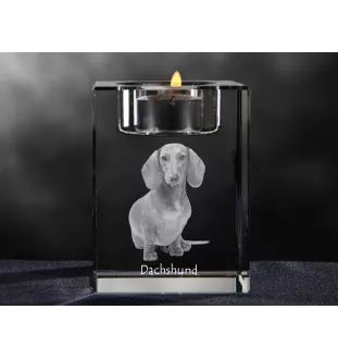 Dachshund Wire-haired, Wiener dog, Badger dog - Candle holder with dog photo, crystal tealight holder, personalised gift by Art-Dog brand