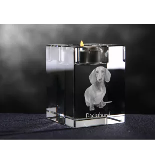 Dachshund Wire-haired, Wiener dog, Badger dog - Candle holder with dog photo, crystal tealight holder, personalised gift by Art-Dog brand