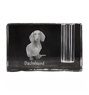 Dachshund Wire-haired, Wiener dog, Badger dog - Pen stand, crystal organiser with dog photo, unique desk decoration by Art-Dog brand