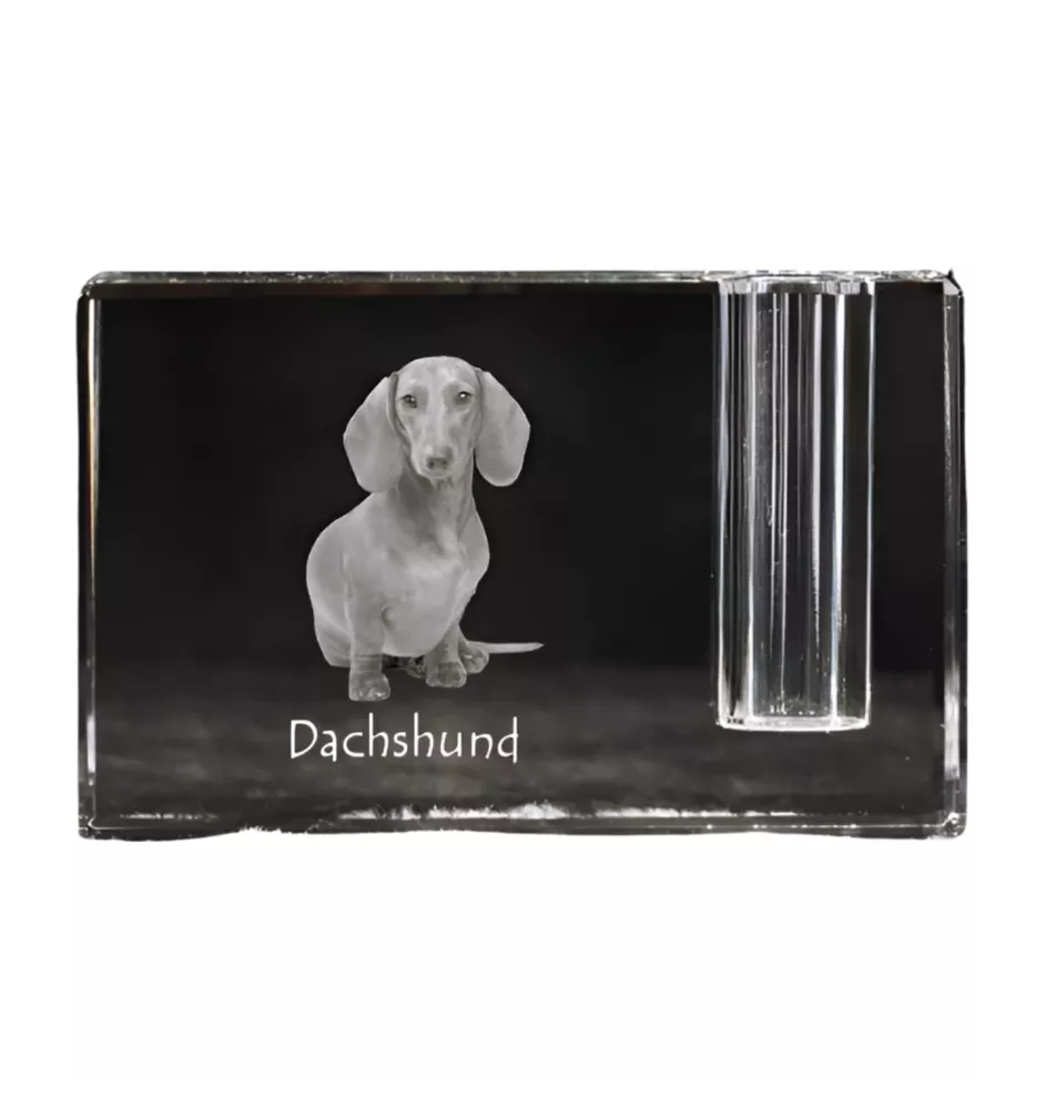 Dachshund Wire-haired, Wiener dog, Badger dog - Pen stand, crystal organiser with dog photo, unique desk decoration by Art-Dog brand