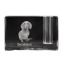 Dachshund Wire-haired, Wiener dog, Badger dog - Pen stand, crystal organiser with dog photo, unique desk decoration by Art-Dog brand