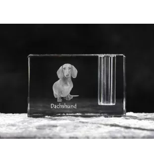 Dachshund Wire-haired, Wiener dog, Badger dog - Pen stand, crystal organiser with dog photo, unique desk decoration by Art-Dog brand