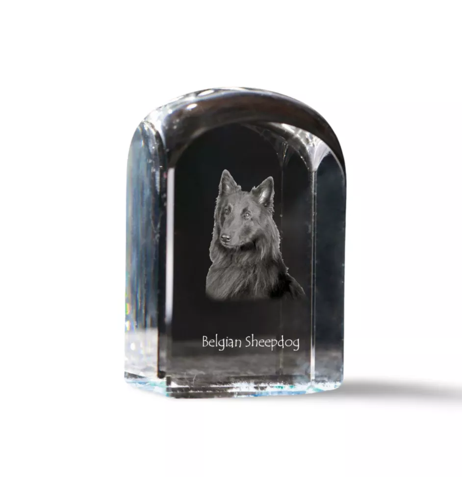 Tervueren Belgian Shepherd Dog, Tervueren Belgian Sheepdog - crystal cube with a photo, photo of a dog in crystal, cubic paperweight from Art-Dog brand
