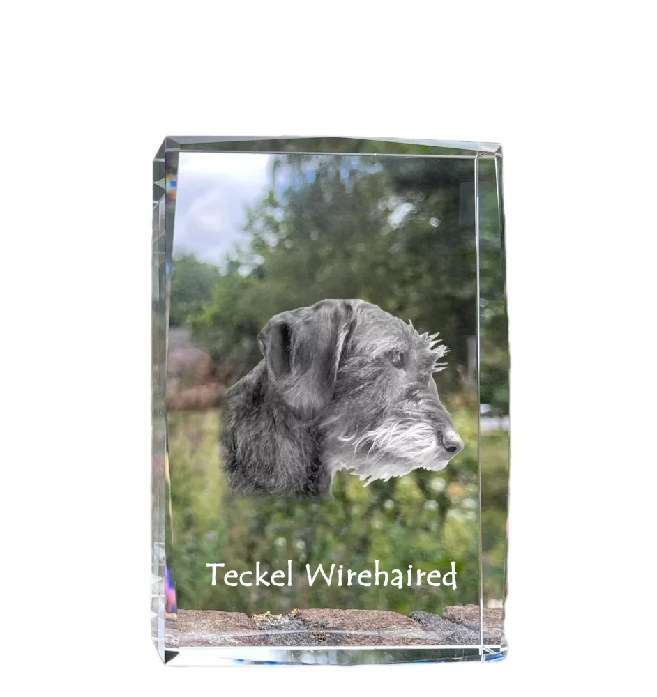 Dachshund Rauhhaar, Dackel, Teckel I - Kristall mit einem Hundebild, Bild im Glas, moderne Ausstellung des Art-Dog-Bildes.