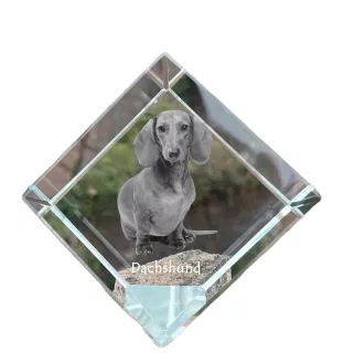 Jamnik szorstkowłosy kostka kryształowa z psem Art-Dog