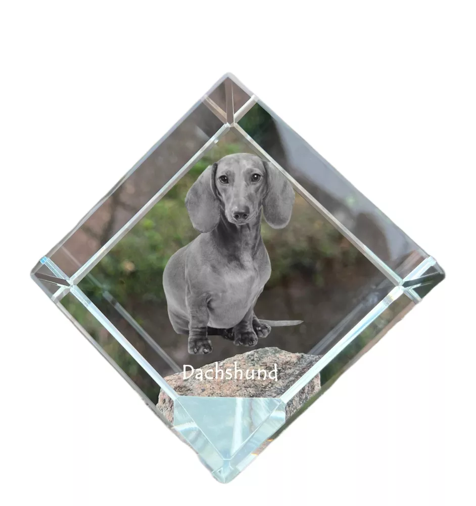 Dachshund Rauhhaar, Dackel, Teckel - Kristallwürfel mit Bild, Pferdebild im Kristall, sechseckiger Papierclip der Marke Art-Dog