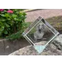 Teckel à poil dur, Chien-saucisse - un cube de cristal avec une photo, une photo de cheval dans le cristal, un presse-papiers cubique de la marque Art-Dog