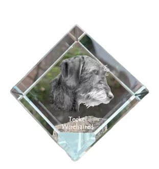 Dachshund Rauhhaar, Dackel, Teckel I - Kristallwürfel mit Bild, Pferdebild im Kristall, sechseckiger Papierclip der Marke Art-Dog