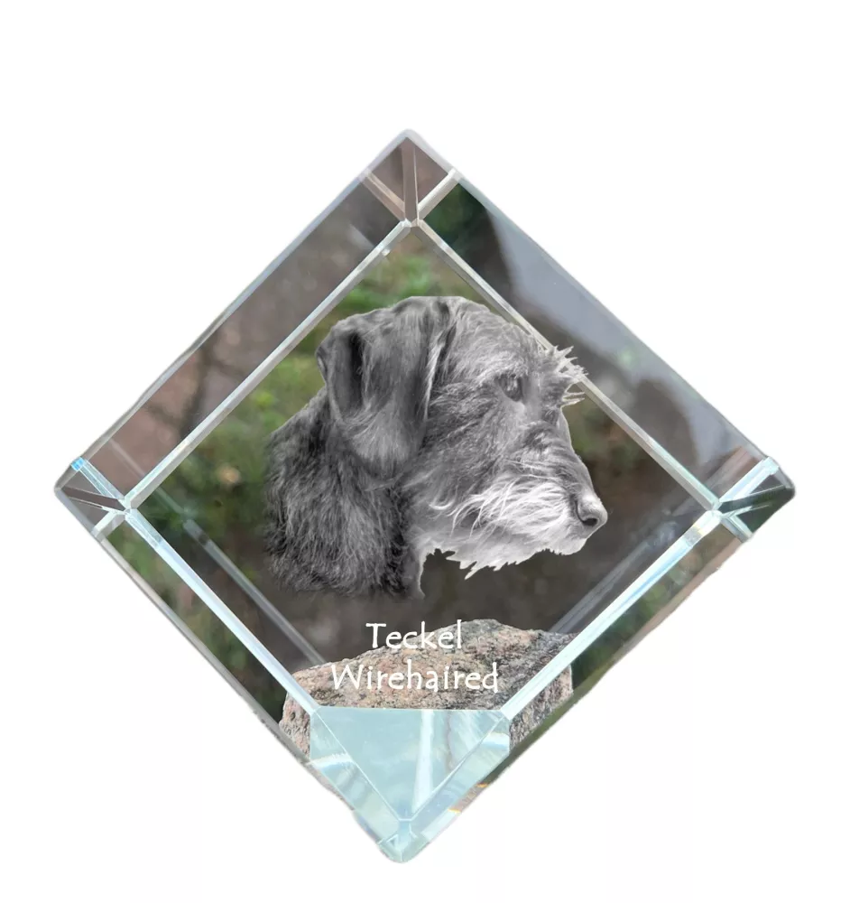 Teckel à poil dur, Chien-saucisse I - un cube de cristal avec une photo, une photo de cheval dans le cristal, un presse-papiers cubique de la marque Art-Dog