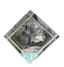 Dachshund Wire-haired, Wiener dog, Badger dog I - crystal cube with a photo, photo of a horse in crystal, cubic paperweight from Art-Dog brand