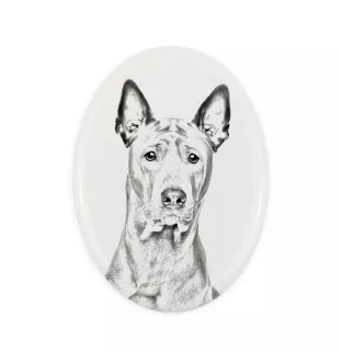 Thai Ridgeback płyta nagrobna ze zdjęciem psa Art-Dog
