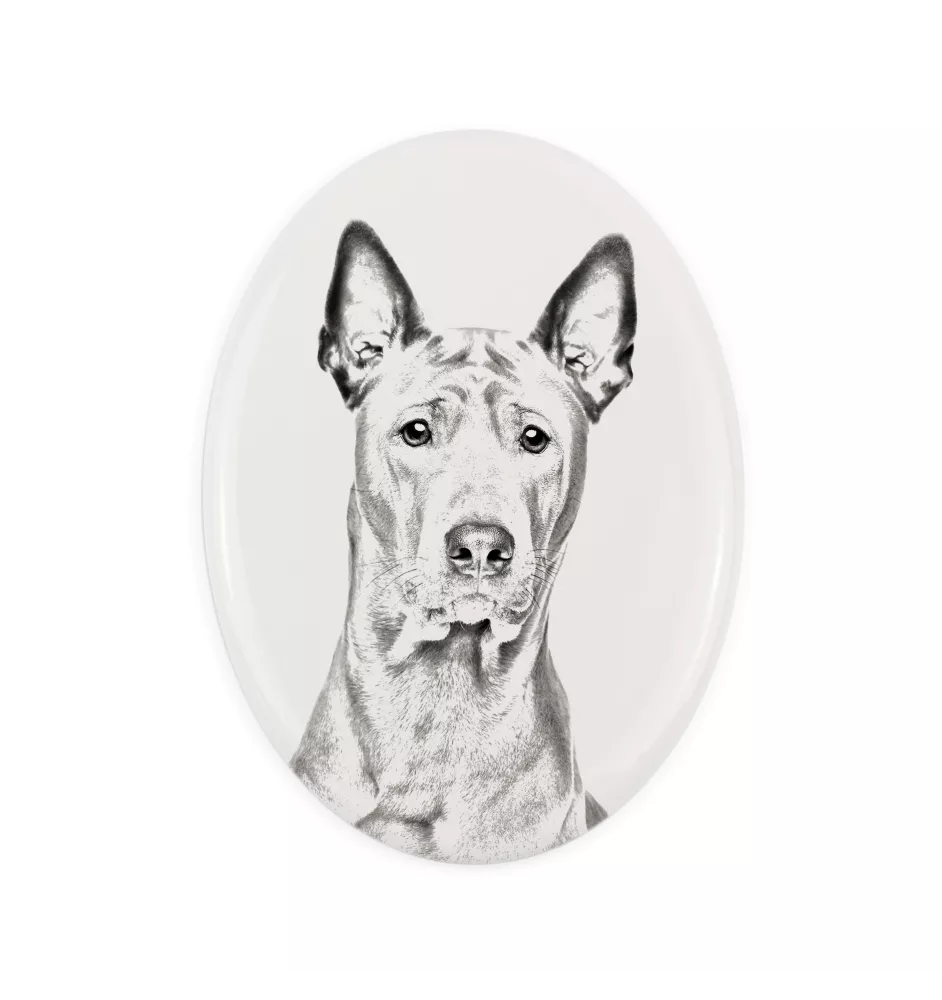 Thai Ridgeback, Chien thaïlandais à crête dorsale - une plaque commémorative avec une photo de chien, une plaque funéraire avec une impression, une plaque ovale personnalisée de la marque Art-Dog