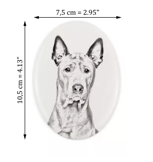 Thai Ridgeback - commemorative plaque with a photo of a dog, tombstone with a print, personalized oval plaque from the Art-Dog brand