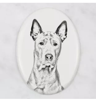 Thai Ridgeback, Chien thaïlandais à crête dorsale - une plaque commémorative avec une photo de chien, une plaque funéraire avec une impression, une plaque ovale personnalisée de la marque Art-Dog