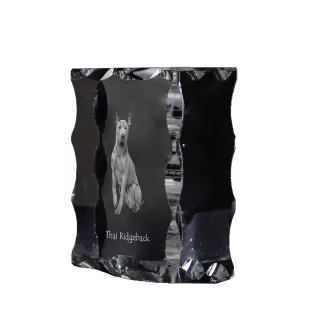 Thai Ridgeback, Thailand-Ridgeback - Kristall mit einem Hundebild, Glasstatuette mit einem Bild, einzigartiger Bilderrahmen der Marke Art-Dog