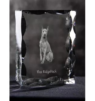 Thai Ridgeback, Chien thaïlandais à crête dorsale - cristal avec photo de chien, statuette en verre avec photo, cadre exceptionnel avec photo de la marque Art-Dog