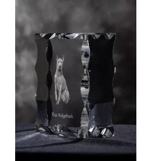 Thai Ridgeback, Thailand-Ridgeback - Kristall mit einem Hundebild, Glasstatuette mit einem Bild, einzigartiger Bilderrahmen der Marke Art-Dog