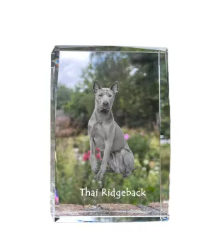 Thai Ridgeback, Thailand-Ridgeback - Kristall mit einem Hundebild, Bild im Glas, moderne Ausstellung des Art-Dog-Bildes.