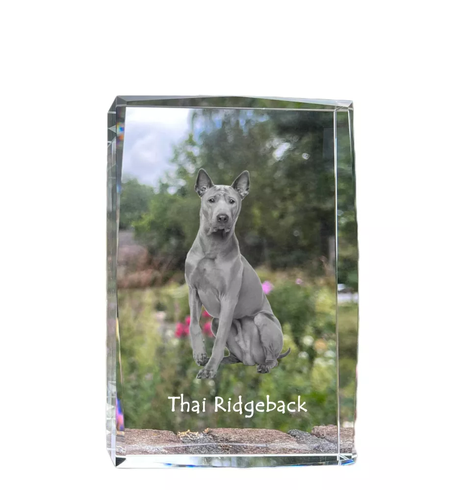 Thai Ridgeback, Chien thaïlandais à crête dorsale - cristal avec une photo de chien, photo sous verre, exposition moderne de la marque de photos Art-Dog