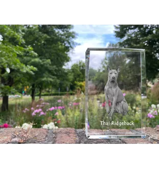 Thai Ridgeback - crystal with a picture of a dog, photo in glass, modern exhibition of Art-Dog brand photo